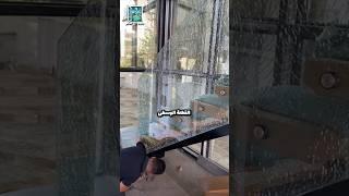 هذا العامل يقوم بعمل مذهل