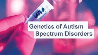 Genetics of Autism Spectrum Disorders