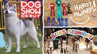 FIRST TIME SUMALI NI HENRI SA DOG SHOW! + REUNION DIN SA MGA ANAK NIYA!