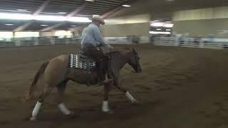 190728 Novice Horse Elijah McQuerry on Whizkey N Roses