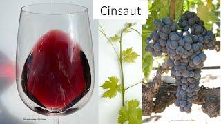 Grape Variety #25: Cinsaut