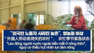 [다문화자막뉴스] "외국인 노동자 사라진 농촌", 영농철 비상 "外国人劳动者消失的农村"，农忙季节紧急状态