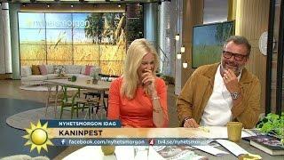 Jenny och Steffos fnissattack: "Näää, kantareller är gula - du är orange" - Nyhetsmorgon (TV4)