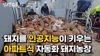 한국 최초 2200마리 돼지를 인공지능이 키우는 스마트팜 자동화 농장 만들어 연매출 50억 대박난 40대 /자영업자/직업의모든것/휴먼스토리