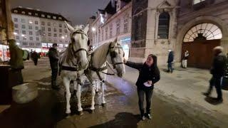 In VIENNA AUSTRIA Horse Carriage ride at Night 2021