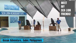 SUBIC BAY, OCEAN ADVENTURE | SEA LION