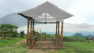 Malino Highlands #staypositive ditengah Pandemi Covid-19 | Kebun Teh Malino