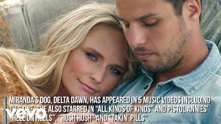 Miranda Lambert - Settling Down (Music Video Fun Facts)