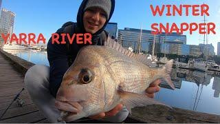 Catching MONSTER SNAPPER in the YARRA RIVER | City Snapper