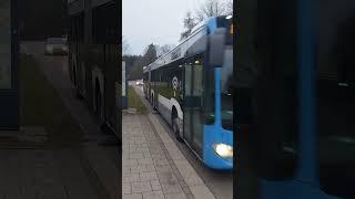 Mercedes Benz Citaro C2 G  Wagennummer 153 Stadtwerke Ulm (SWU) #shortvideo