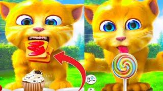 Talking Ginger Funny Videos  | talking tom | talking ginger | tom cat |