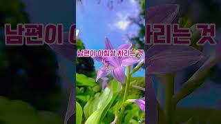 매일 집밥 요구하는 시어머니