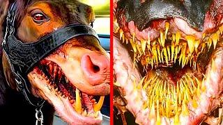 Deadliest Animal Mouths That Will Give You Chills