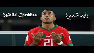 Walid Cheddira | وليد شديرة | Moroccan Beast | Incredible Skills & Goals | The New GOAL MACHINE!