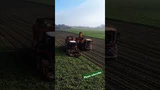 Harvesting with machines! #Agriculture #Sannong #HarvestMachine#agricultural machinery