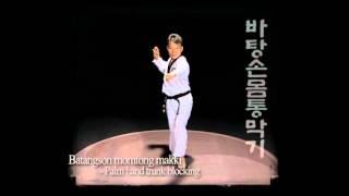 Taekwondo basic blocking