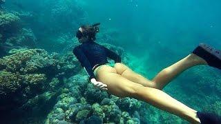 Подводная охота blue water spearfishing Panama part 2.Желтоперый тунец