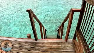 Reethi Faru MALDIVES Resort  WATER Villa   | Room Tour 4K | Hotel Vlog