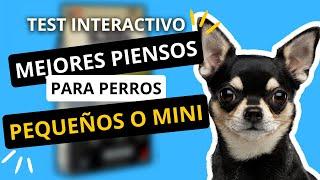 Mejores PIENSOS para PERROS PEQUEÑOS o MINI | TEST INTERACTIVO | 2024