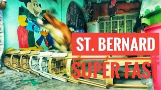 Playing | Training | Giant dog St. Bernard