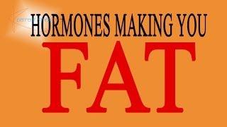 Are your Hormones making you Fat???