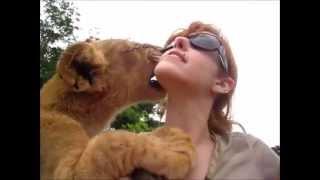 Lion cub loves his human friend