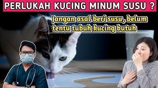 JANGAN ASAL BERI SUSU PADA KUCING ‼️ BAHAYA ‼️ || drh Mirza Yusa || Dokter Hewan