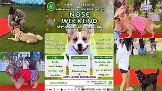 Pehli baar Arunachal mai pets party  | Nose Weekends | KM vets