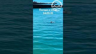 24.05.2025. Погода в Сочи в мае. Смотри на Чёрное море каждый день.