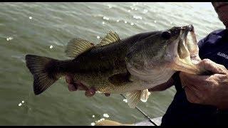 Catching Bass on and near dams in this episode of Bass Pro Shops Fisherman's Handbook