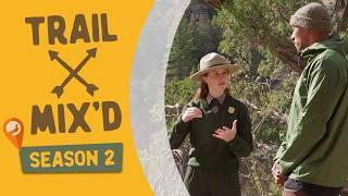 Explore Arizona history at Montezuma Castle and Walnut Canyon | Trail Mix'd