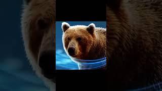 Какими силами строить дом, если у клиента есть 2рублей и он хочет двухэтажный дом?