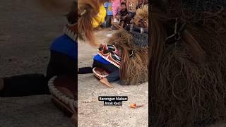 Paijo dimakan barongan #shorts #viraltiktok #barongan #storybantengan #storywabarongan  #viralvideo