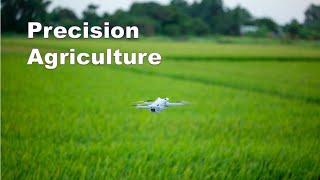 Precision Agriculture: The Future of Sustainable Farming