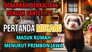 PERTANDA MUSANG MASUK RUMAH MENURUT PRIMBON JAWA, BENARKAH BERKAITAN DENGAN SANTET?