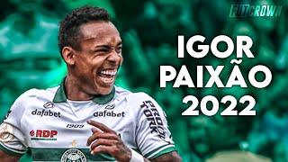 Igor Paixão 2022 ● Coritiba ► Dribles, Gols & Assistências | HD