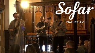 Nature TV - Only One | Sofar London