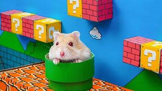 HAMSTER ESCAPE: Cute Mario maze for Hamsterious  in Hamster Stories  Hamsterious