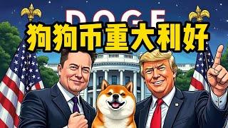 狗狗币重大利好：马斯克成为DOGE部长！比特币走势分析