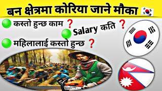 Forestry मा कोरिया  //Korean Language Exam in Nepal // 2025 Manufacturer Exam Date/ Eps Topik Exam