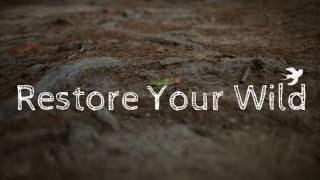 Restore Your Wild