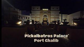 Pickalbatros Palace -  Marsa Alam - SCHNORCHELN