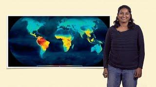 Uma Ramakrishnan (NCBS) 1: Biogeography: Studying the distribution of species across space