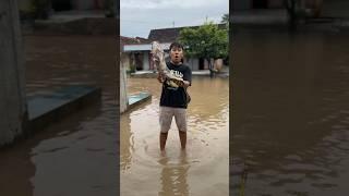 Di Desa Ku Sedang Banjir Aku Mancing Dapat Ikan Lele Ukuran Monster #mancing #banjir #lele #monster