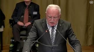 Riyad Al Maliki, ICJ Hearings, 19 February 2024