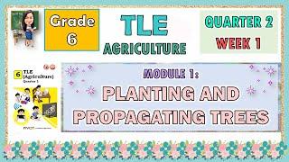 TLE 6 | AGRICULTURE  MODULE 1 QUARTER 2 WEEK 1 |  PLANTING AND PROPAGATING TREES