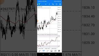 The Powerful of (RISEMA) shegzyFX Mt4 or Mt5 mobile trading strategy for Scalping only 