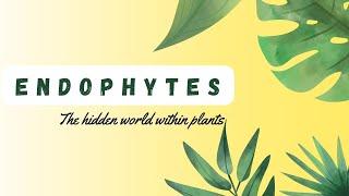 Endophytes: Their role in Plant Growth #Microbiology #science #Endophytes