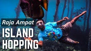 RAJA AMPAT DIVING homestay | Kri | Gam | Batanta (no Liveaboard)