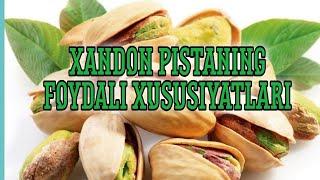 Xandon pistaning foydali xususiyatlari | Писта саратонга қарши |